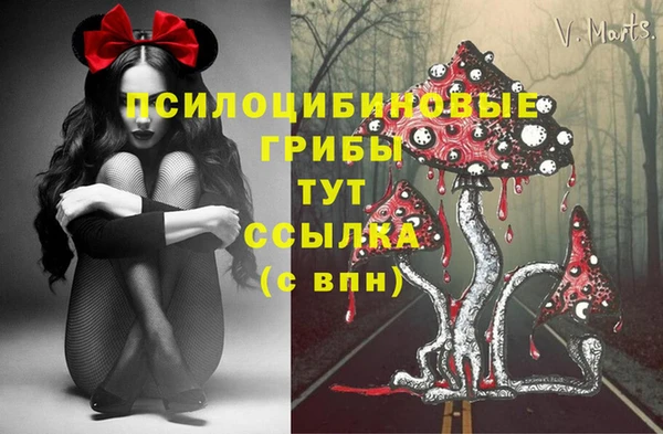 синтетический гашиш Алексеевка