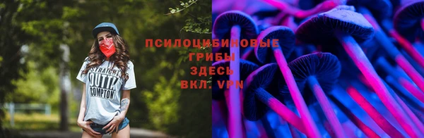 синтетический гашиш Алексин