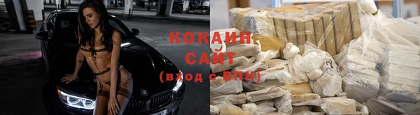apvp Алзамай