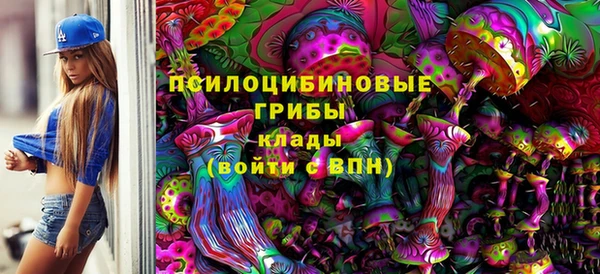 синтетический гашиш Алексеевка