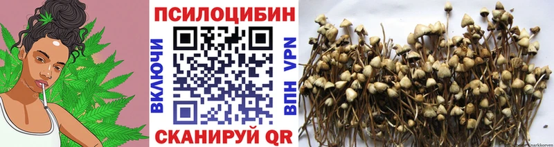 Псилоцибиновые грибы прущие грибы  Рыбное 
